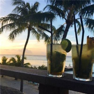 博雅体育app下载官网手机版